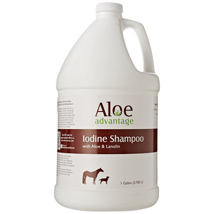 ALOE ADVANTAGE IODINE SHAMPOO - GALLON