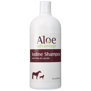 ALOE ADVANTAGE IODINE SHAMPOO - QUART
