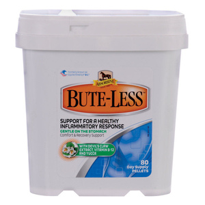 BUTE-LESS COMFORT & RECOVERY SUPPORT SUPPLEMENT - 3
