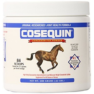 COSEQUIN EQUINE POWDER - 280 G
