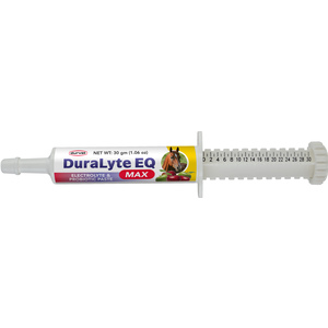DuraLyte EQ Max Paste for Horses 30-grams