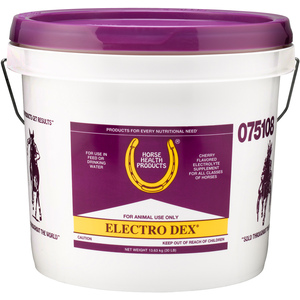 Electro Dex Equine Electrolytes 30-lbs