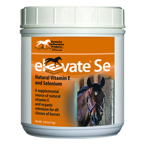 Elevate SE 2-LB Container