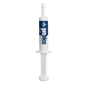 Probios Equine One Oral Gel 30-Grams