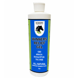 Winners Equine Products CBD Pain Relief Gel